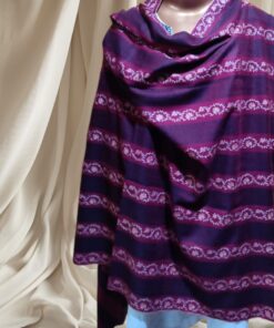 Pure Pashmina Shawl in Purple Embroidered Bands